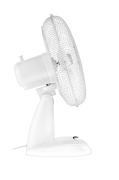 photo_11987
